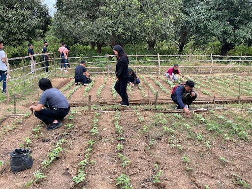 4-H Club Vegetable Farming Project
