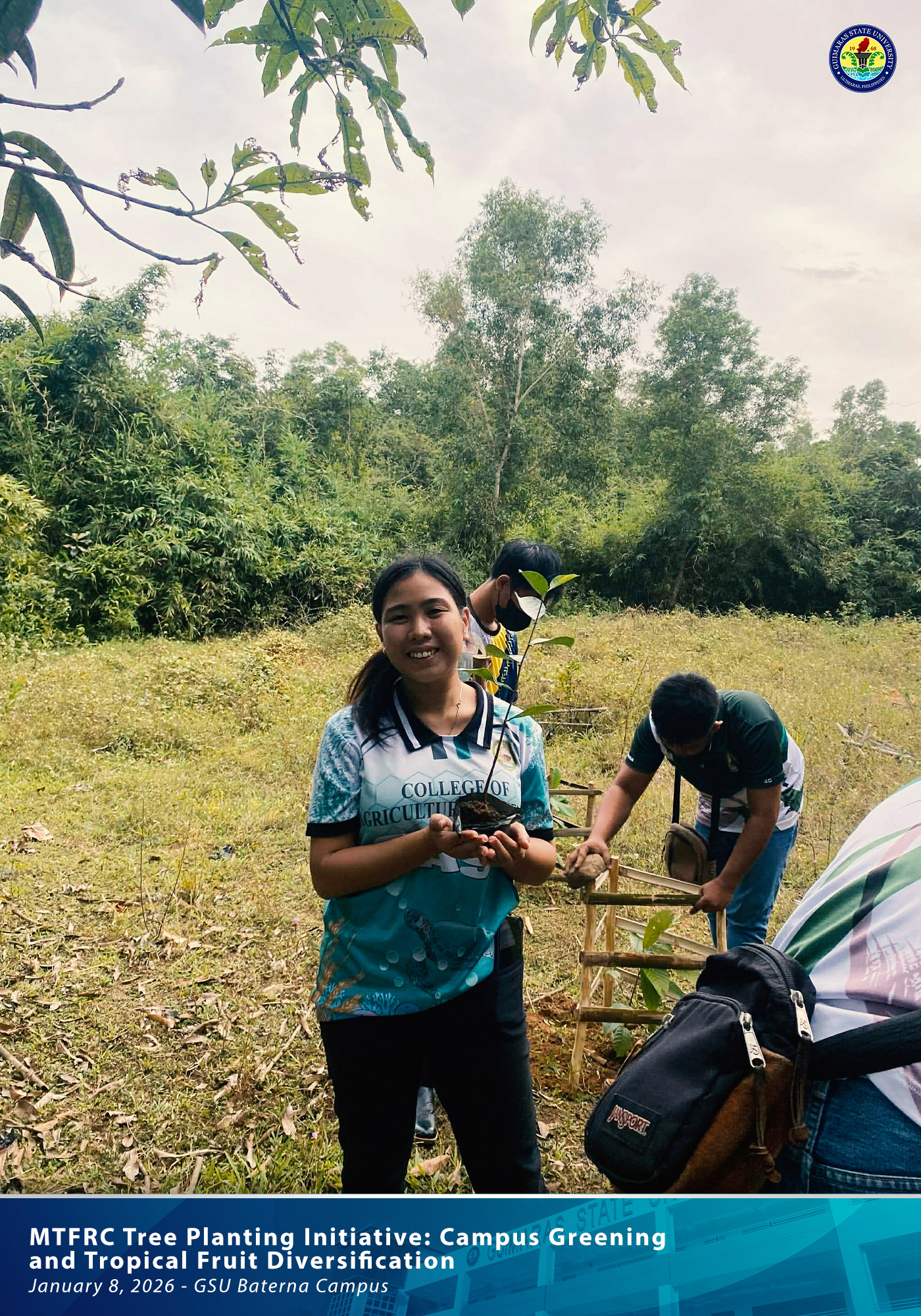 Cacao and cashew seedlings